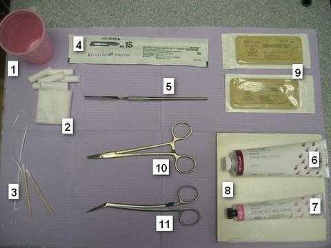 Periodontal Gum Surgery tray Set-Up, Coe Pak, Chromic Gut Suture, scalpel, hemostat, angled scissors