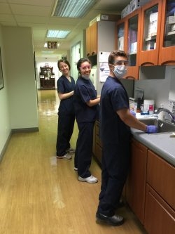 Dental internship